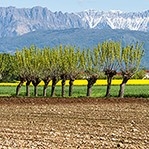 Imprenditori agricoli e coltivatori diretti